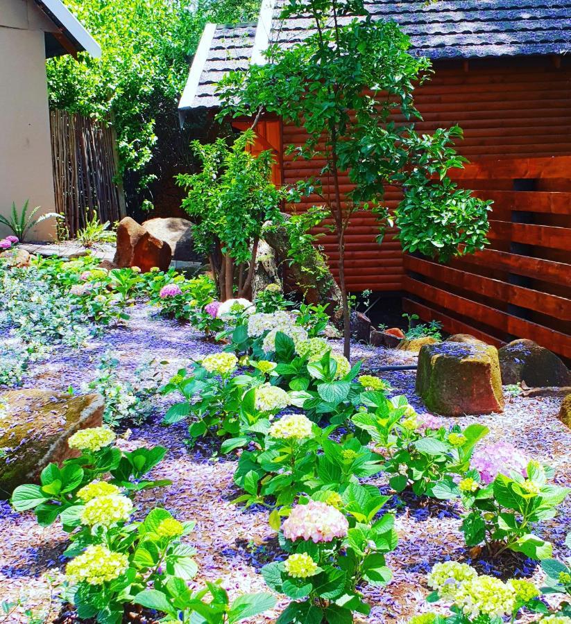 Haggards On Hilldrop Bed and Breakfast Newcastle Buitenkant foto